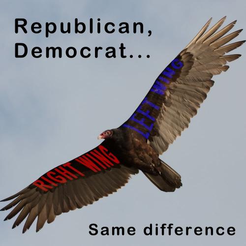 6970408733_07c7475da6_b