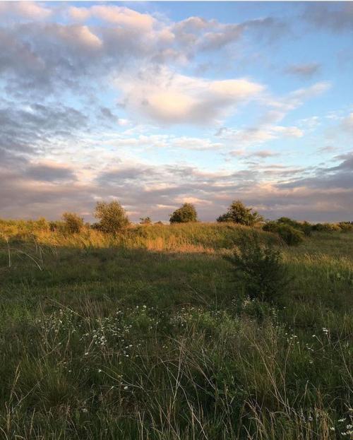 3fac9663798e635ef59c78437b98d995