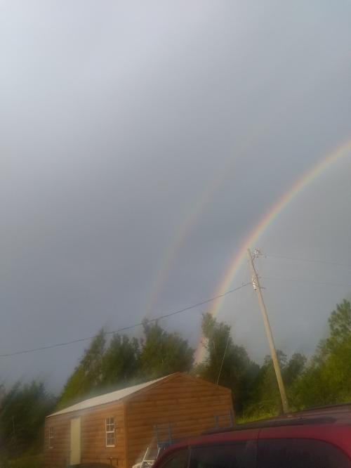 IMG_20200814_064840298