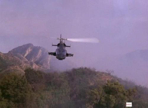 119344515_10224191688598281_5852339173105584562_n