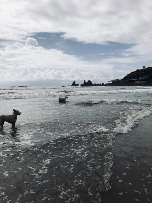 F6A95775-FD15-4C24-9282-F96C9599F490