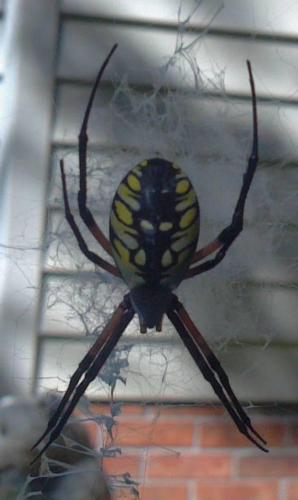 545460_4178453812256_1365143814_n_4178453812256