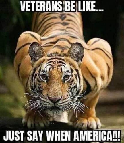 118854837_10218417507610444_3323587240951754109_n