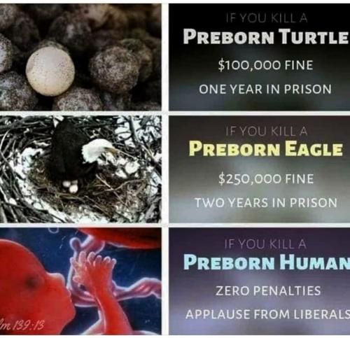 Screenshot_20200929-212908_Instagram