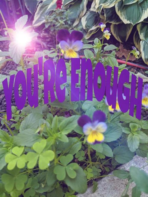 FB_IMG_1593042084560