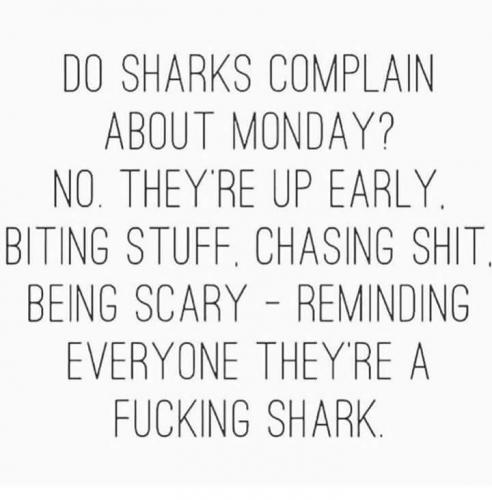 FB_IMG_1599760831528