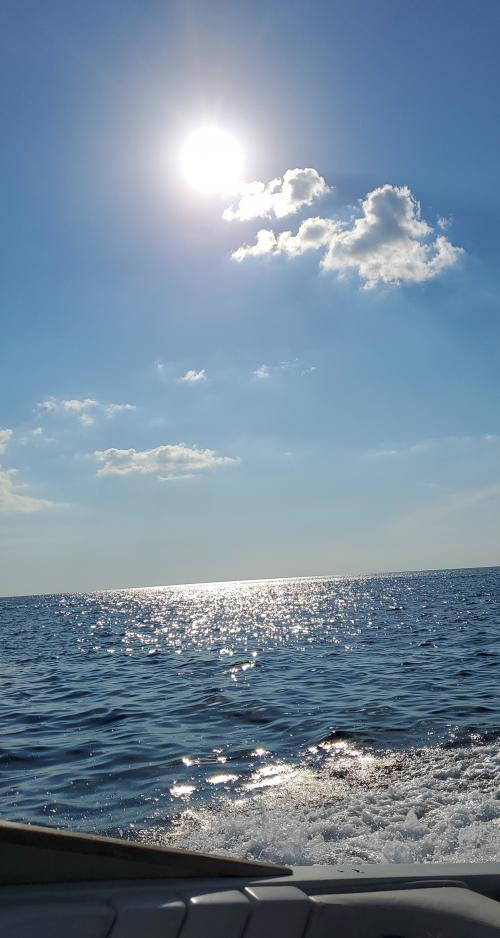 inbound8221731746560236857