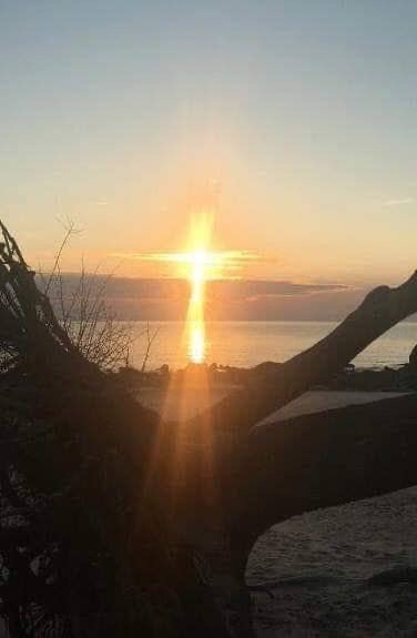 2DBDA12B-4DC3-47F1-B16C-E25853D5783C