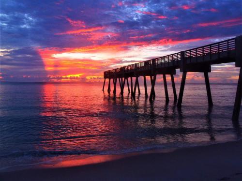 FB_IMG_1597237230221