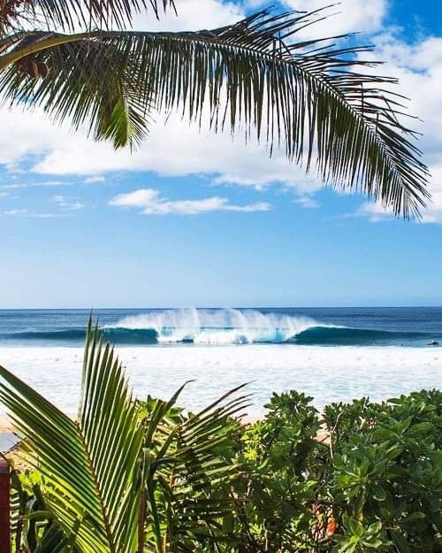 FB_IMG_1599532073342