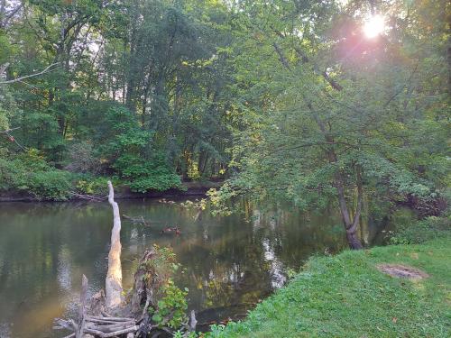 inbound7377811787128301227