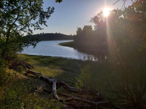 download_20200903_222051