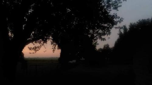 FB_IMG_1599042282250