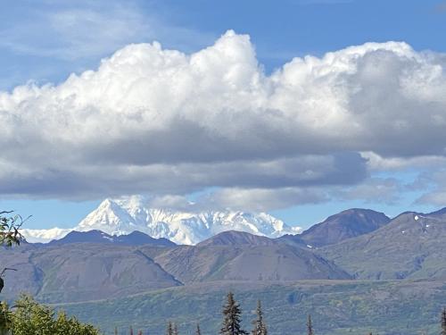 88D6BBD2-04DA-4DEC-AA50-2FF2B2851EF1