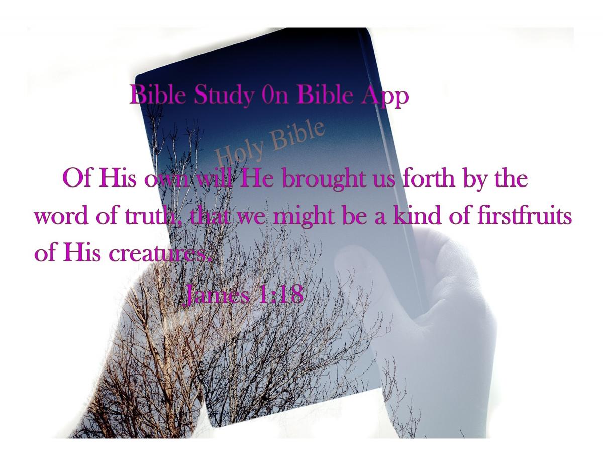 Bible Study on Bible App