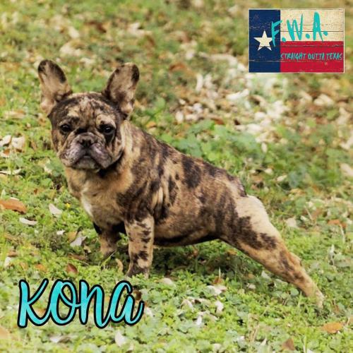 inbound4067966184108639198