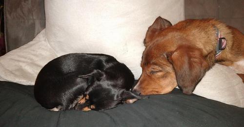 USER_SCOPED_TEMP_DATA_MSGR_PHOTO_FOR_UPLOAD_1600996841164_6715067454884392940