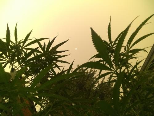 IMG_20200912_145754501