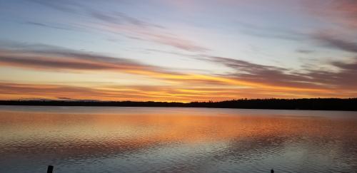 inbound8289776709223314063