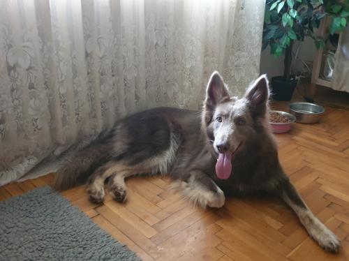 inbound3250693221774798449