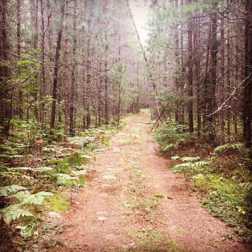 CA60A1B5-0057-4963-ABD7-D48E108D928E