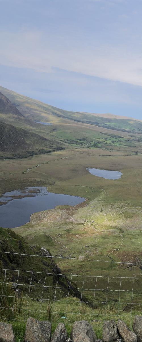 8C343267-BFCB-4EB7-8AEF-C79374296F59