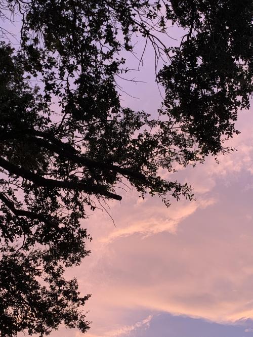 EF0AB205-34FC-4C38-A6C8-2D57F5AE221D