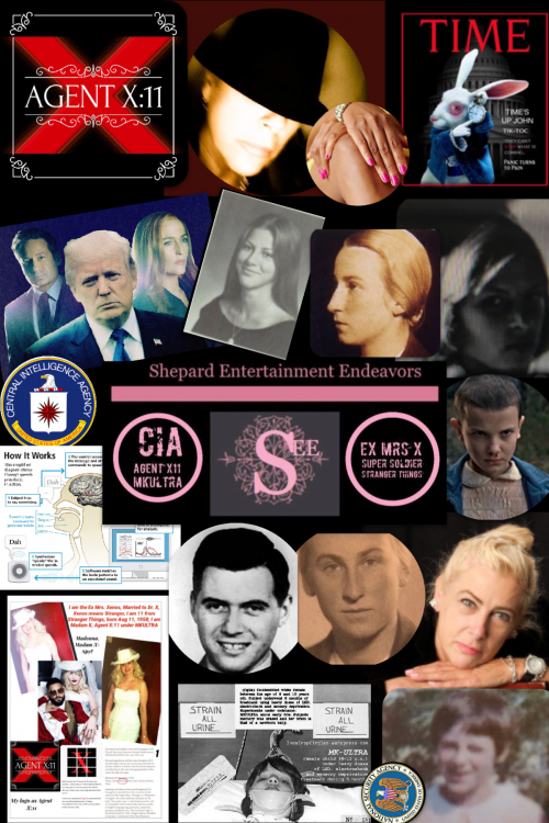 22BD525F-5D14-47B5-9741-426E67785973