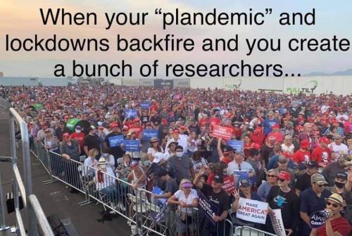 FB_IMG_1600350930683