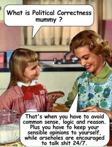 What's Political Correctness