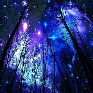 Blue stars trees