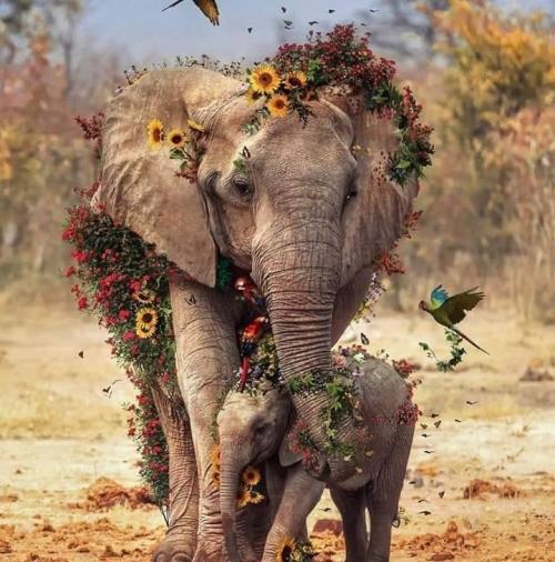 9D9123F1-3FBA-4C07-9F0A-855A6415430F