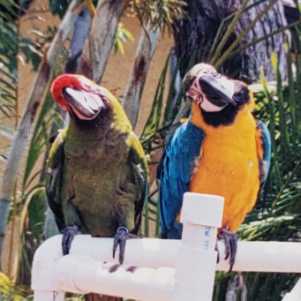 image-6e781db9-2072-4007-a54f-d1639f87d6db