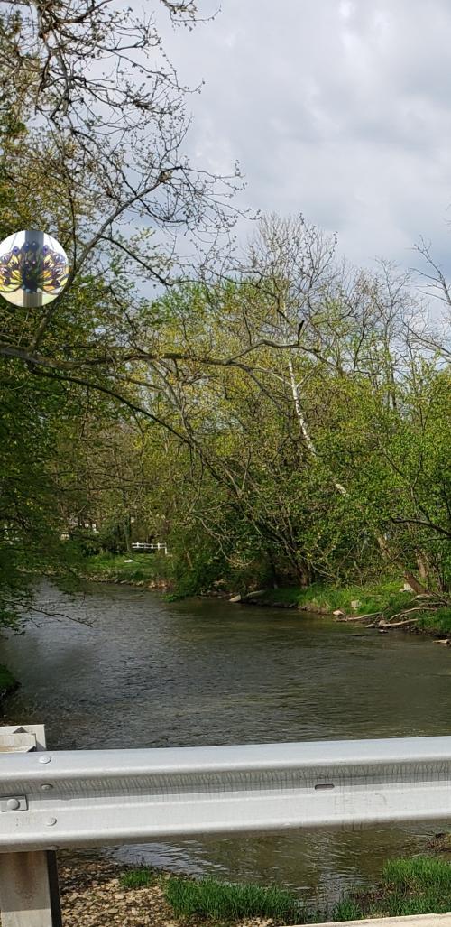 Screenshot_20200517-093813_Gallery