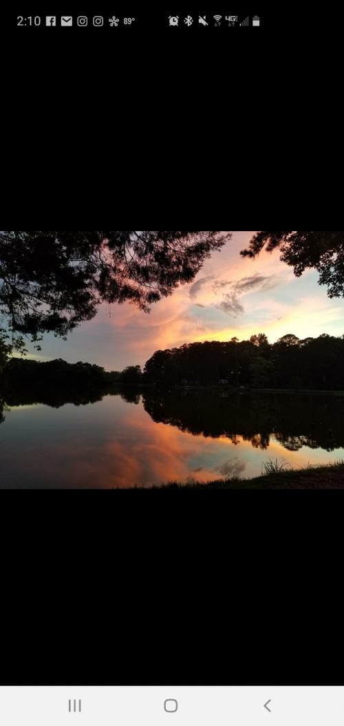 Screenshot_20200629-141008_Facebook