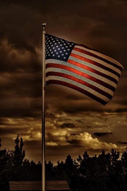 895400E1-E9FA-4CC7-9DC3-CBF6B9029EFC