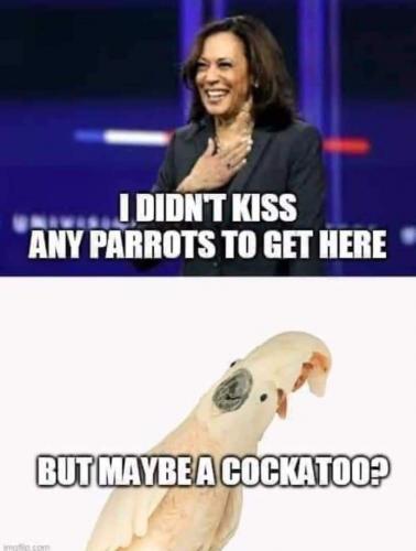 FB_IMG_1601218587780