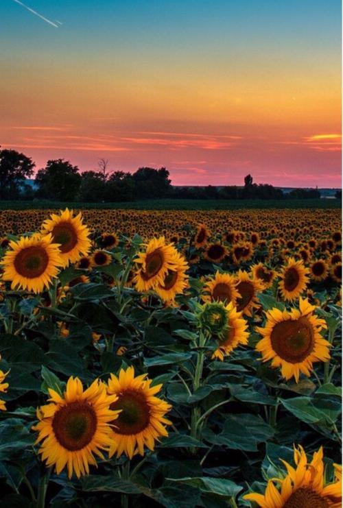 e0fabcbea29e1c939f53a6190f46fc4b