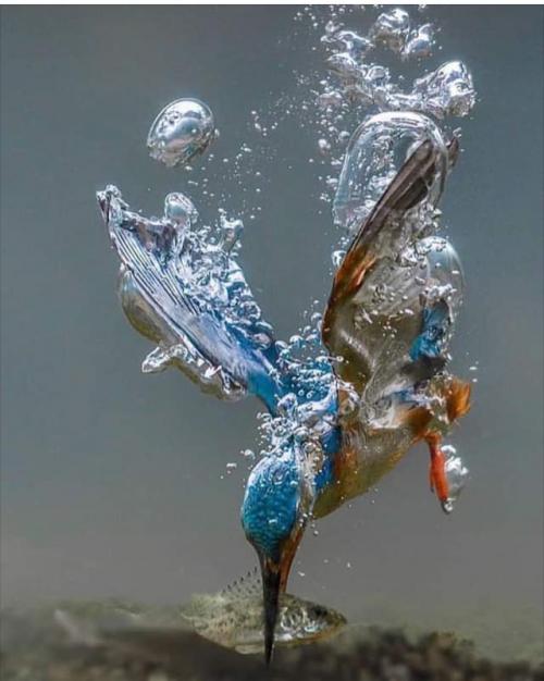 9E613E92-2113-4661-9F08-B42AE03EAEA3