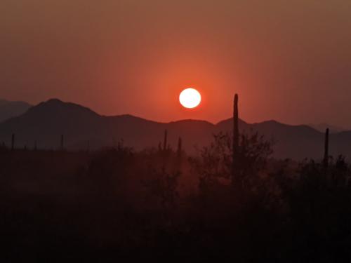 PXL_20200915_132621634