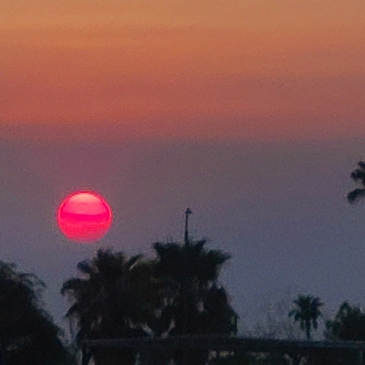 inbound7059739036174414862