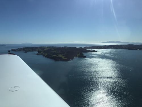 Viking over Auckland