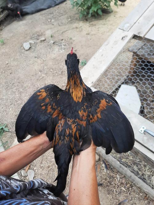 received_317847786035913