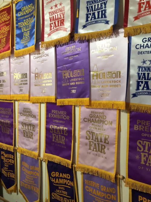 68D16584-19F6-47DC-9FC3-8AE4340C7A41