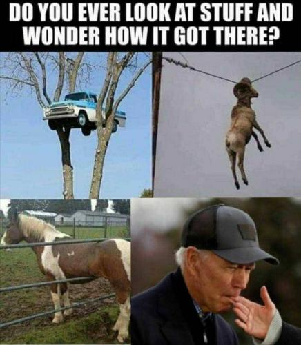 202008290451-2y6pTEr8Id