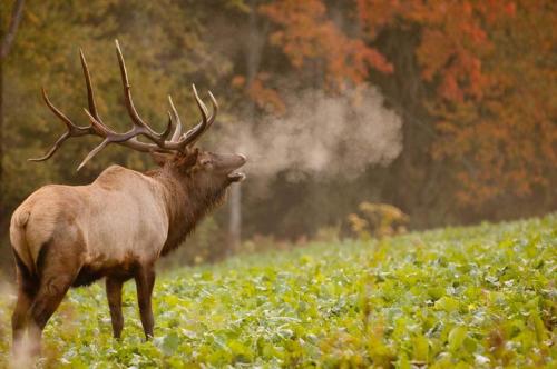 FB_IMG_1568729270347