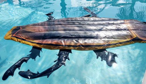 IMG_20200903_164134118