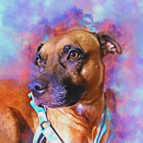 received_1207462046266406