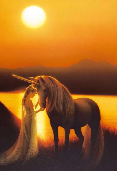 38744610_281458052439540_5059860955207303168_n