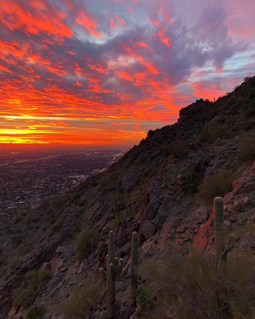 50721833_10156128704542014_7158086276124508160_o